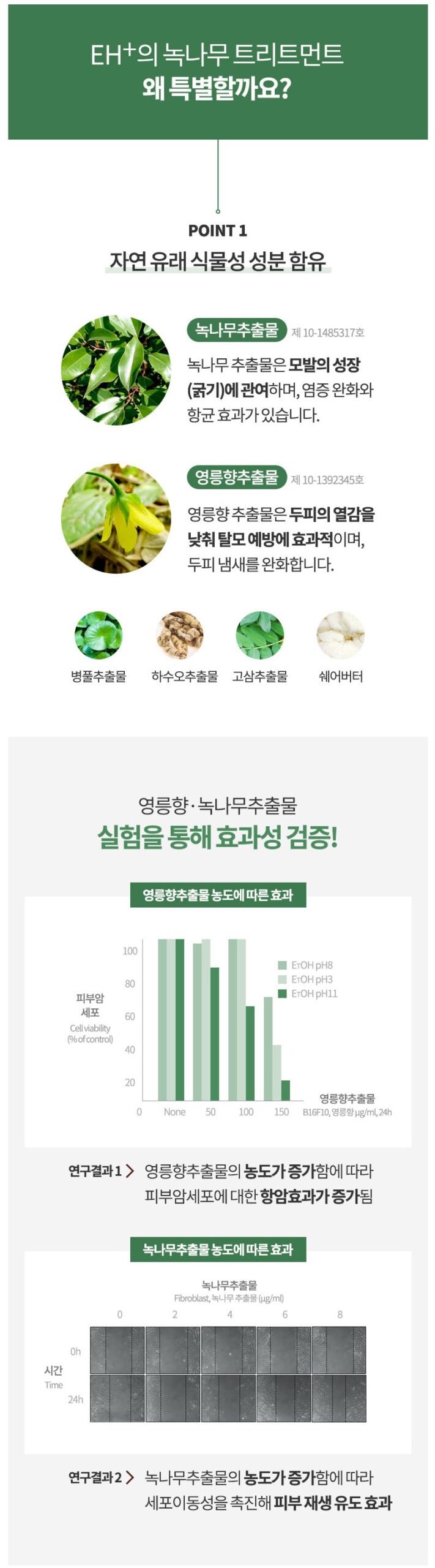 녹나무 트리트먼트 상세 이미지 2